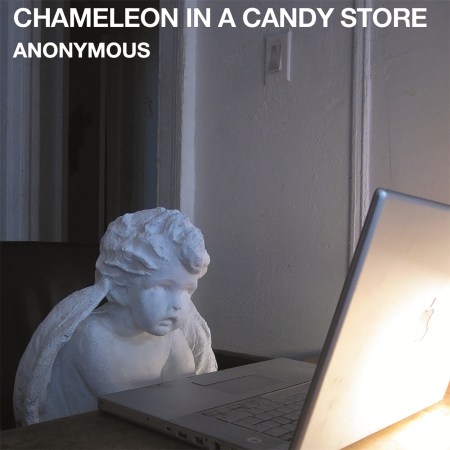 Chameleon in a Candy Store
