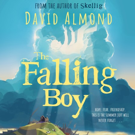 The New Famous Five: The Falling Boy