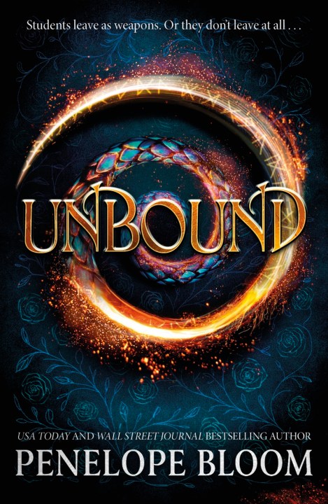 Unbound (Confluence Academy Book 1)