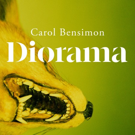 Diorama