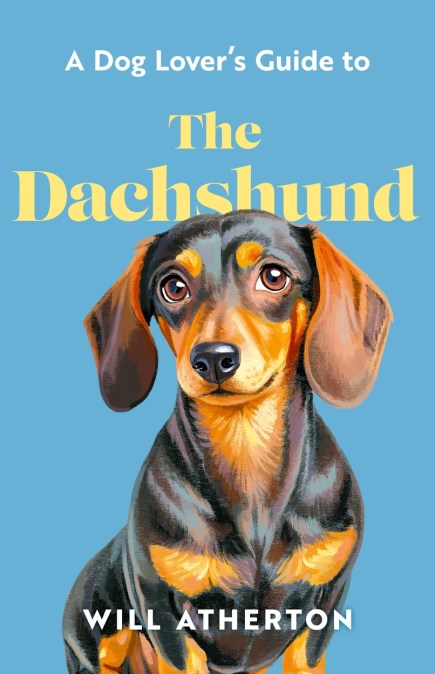 A Dog Lover’s Guide to The Dachshund