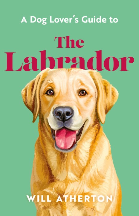 A Dog Lover’s Guide to The Labrador